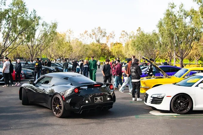A Relaxed Morning at Exotics & Espresso in Irvine